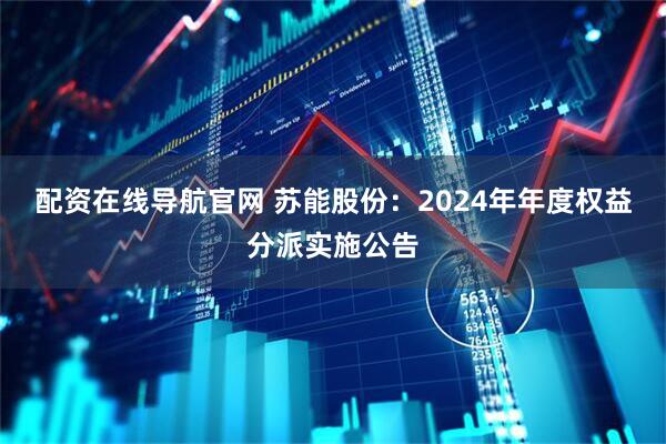 配资在线导航官网 苏能股份：2024年年度权益分派实施公告