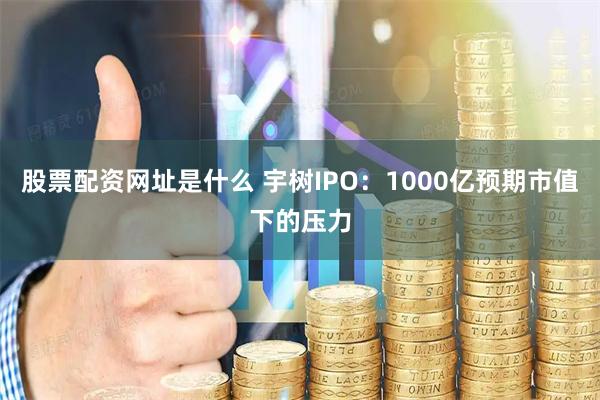 股票配资网址是什么 宇树IPO：1000亿预期市值下的压力