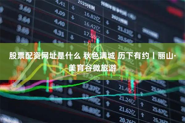 股票配资网址是什么 秋色满城 历下有约丨丽山·美育谷微旅游