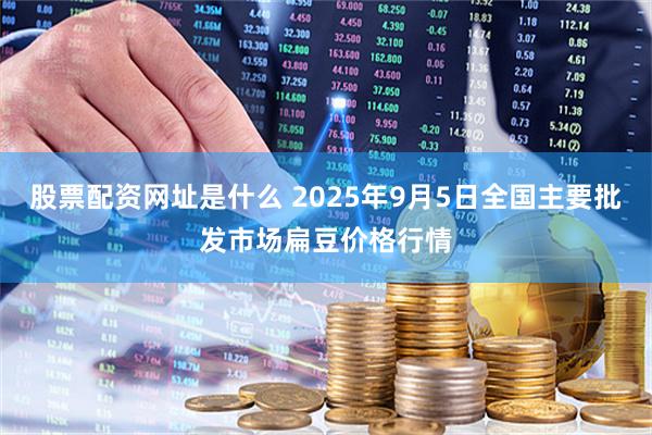 股票配资网址是什么 2025年9月5日全国主要批发市场扁豆价格行情