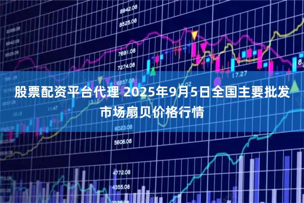 股票配资平台代理 2025年9月5日全国主要批发市场扇贝价格行情