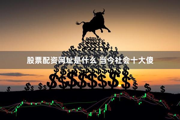 股票配资网址是什么 当今社会十大傻